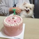 탄앤쿠키 이미지