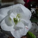 (주)사유건축사사무소 이미지