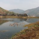 삼산리 경로당 이미지