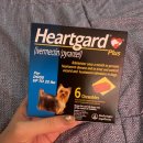 대구가축병원 이미지