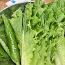 태순 | 김포맛집 한우돼지갈비 먹어보고 감동받은 후기 태순집 김포사우점