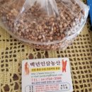 백년인삼 - 완주군 | 백년인삼