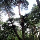 250815 태백 2박 3일 이미지