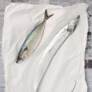 바다의왕자 이미지