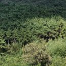 변산농장2 이미지