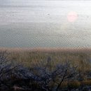 마루바람 이미지