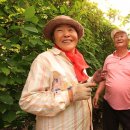 송전마을 이미지