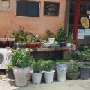 고향보리밥집 이미지