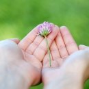 선경한의원 이미지