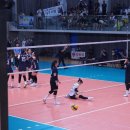 현대실업 | 25.07.06 단양 한국 실업배구연맹 &amp; 프로배구 퓨처스 챔프전 단양대회 직관 후기