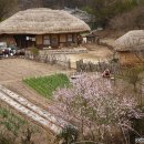고향우시장 이미지