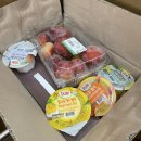 배가네동태탕찜전문점목포하당점 | 주간일기 8주차
