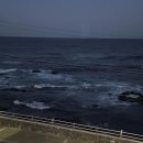 스테이 하루 | 묵호 여행 숙소 / 오션뷰 동해 하루스테이 1박 후기 (애견 동반 가능)