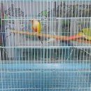 인천조류원 이미지