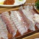 광주 말바우시장 맛집 또또또간집 가성비 좋은 횟집 득량만횟집