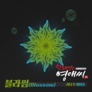 블라썸(Blossom) 티스토리