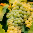 SKY KIDS POOL 이미지