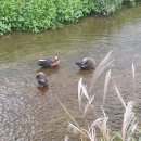 해반천로 이미지