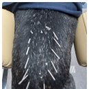 개포동물병원 이미지