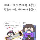 뚱이이모 이미지