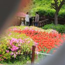 용인농촌테마파크 5월의 봄 풍경(5) 이미지