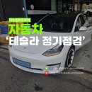 테슬라 정기검사 방법 비용 안내 TS자동차검사 한국교통안전공단 모델3 예약
