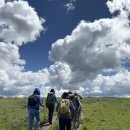 Yellowstone and Grand Teton 2026 이미지