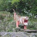 유선사