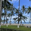 포피스 피자 이미지