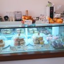 이소콘도 이미지