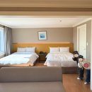 스위트스팟정보통신 | 경기도 화성 아이랑 호캉스 추천 라비돌 호텔 리조트 이그제큐티브 스위트룸