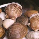 수라칼국수 이미지