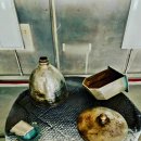 쌍용그린정비 이미지