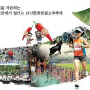 2008 괴산문화청결고추축제 - 2008년 8월 21일(목) ~ 8월24일(일), 4일간 이미지