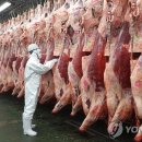 북부축산물유통센터