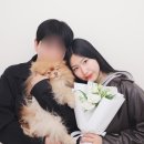 그린예식장 뒤 | W1. 서울 무료 야외 예식장 예약했어요! 용산가족공원 그린 웨딩 준비하기
