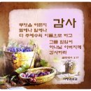 복음세탁 이미지