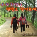 예손약국 이미지