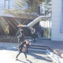 산채랑오리랑 이미지