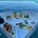 산호사우나 | 몰디브 럭셔리 리조트 아야다몰디브 후기 4: 플로팅조식, 익스커션, 스파