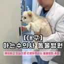 아는수의사 동물병원 | [대구] 아는수의사 동물병원 | 강아지 건강검진 후기 (위치, 주차, 시간, 건강검진 결과서 등)