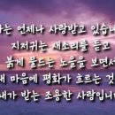 새해 첫째날 해너미 이미지