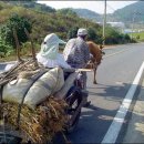 달구지주유소 이미지