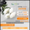 장안장 | 복지장례문화원 에서 공기업 직원과 동일한 3일장 상조서비스비용, 기업상조회사 입니다.