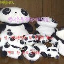 디스동물병원 이미지