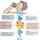 금주약국 이미지