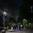 대흥슈퍼 | 대흥역 경의선숲길 유럽 감성 담긴 화덕 피자...마포본점 데이트 후기 (스피니쉬 루꼴라피자, 쥬키니...