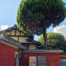 신흥동농장 | 군산 I 가볼만한 곳 신흥동일본식가옥(히로쓰가옥) 방문 후기(+포토존, 주차장 등)