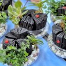 인천양촌초등학교 이미지