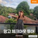 피크투어
